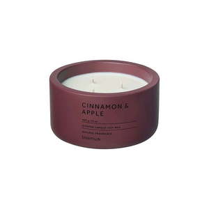 Vonná sójová sviečka doba horenia 25 h Fraga: Cinnamon & Apple – Blomus vyobraziť