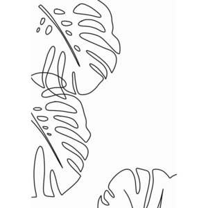 Plagát 29x41.4 cm Monstera - Veronika Boulová vyobraziť