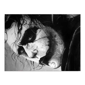 Nástenný obraz na plátne Joker, 40 × 30 cm vyobraziť