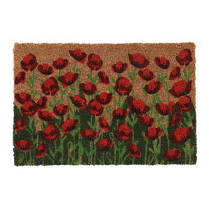 Rohožka z kokosového vlákna 40x60 cm - Esschert Design vyobraziť