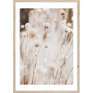 Obraz 50x70 cm Beige I – Styler vyobraziť
