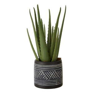 Umelá rastlina Fiori – Premier Housewares vyobraziť
