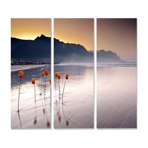 Obrazy v súprave 3 ks 20x50 cm – Wallity vyobraziť