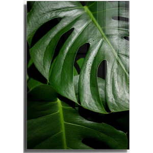Sklenený obraz 70x100 cm Monstera - Wallity vyobraziť