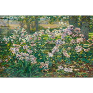 Sklenený obraz 100x70 cm Ruger Donoho - Wallity vyobraziť