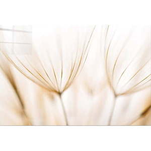 Sklenený obraz 100x70 cm Fluff - Wallity vyobraziť