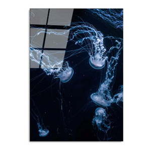 Sklenený obraz 70x100 cm Jelly Fish - Wallity vyobraziť