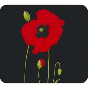 Kryt na stenu pri sporáku z tvrdeného skla 50x56 cm Poppy - Maximex vyobraziť