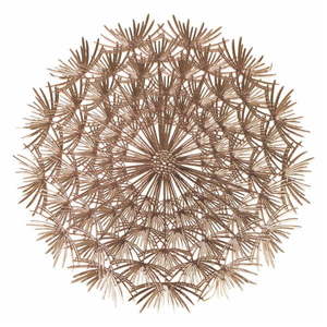 Plastové prestieranie 6 ks ø 38 cm Dandelion – VDE Tivoli 1996 vyobraziť