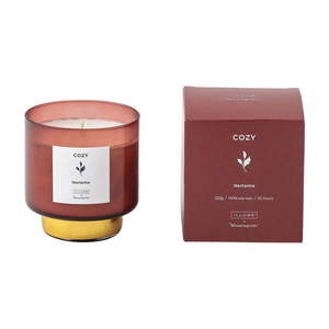 Vonná sviečka doba horenia 50 h Cozy Nectarine – ILLUME x Bloomingville vyobraziť