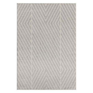 Svetlosivý koberec 200x290 cm Muse – Asiatic Carpets vyobraziť