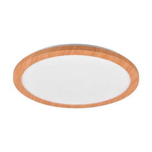 LED stropné svietidlo v prírodnej farbe ø 40 cm Camillus – Trio vyobraziť