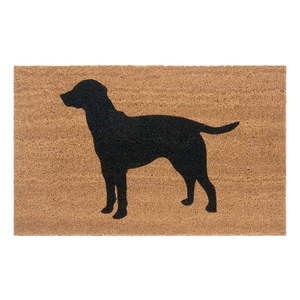 Rohožka 45x75 cm Mix Mats – Hanse Home vyobraziť