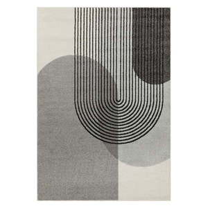 Sivý koberec 170x120 cm Muse - Asiatic Carpets vyobraziť