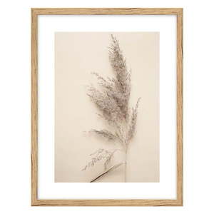 Obraz 30x40 cm Grass – knor vyobraziť