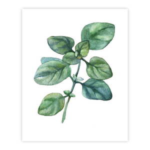 Plagát 40x50 cm – knor vyobraziť