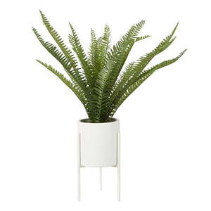 Umelá papraď (výška 56 cm) Fiori – Premier Housewares vyobraziť