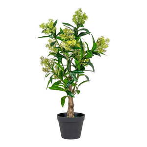 Umelá rastlina Skimmia – House Nordic vyobraziť