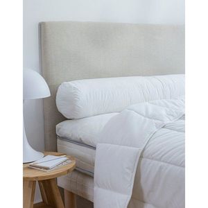 Odolný valček Conforlux® Dodo®s úpravou proti roztočom Proneem®, tuhý vyobraziť