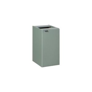 ArtCom Závesná skrinka do kúpeľne LINE Reed Green 81-30-1D | 30 cm vyobraziť