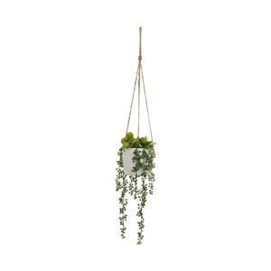 Umelá rastlina (výška 40 cm) – Casa Selección vyobraziť