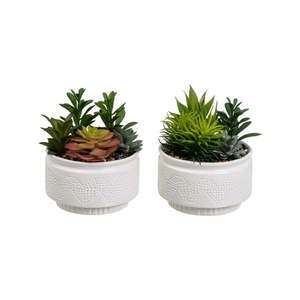 Umelé rastliny v súprave 2 ks (výška 19 cm) Cactus – Casa Selección vyobraziť