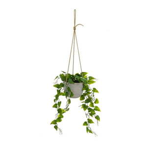 Umelá rastlina (výška 46 cm) – Casa Selección vyobraziť