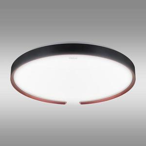 Stropná lampa ESPERANTO LED C 24W SMART WI-FI 04076 PL1 vyobraziť