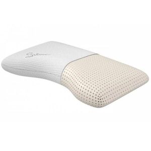 Vankúš Ergo Talalay 62x32x11 H3 Aloe Vera vyobraziť