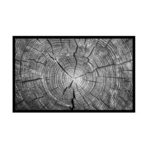 Rohožka Trunk 50x80 cm 02010003 vyobraziť