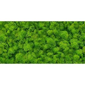 Dek. Pure Moss Glass 30/60 vyobraziť