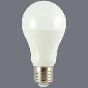 Žiarovka Led 12w vyobraziť
