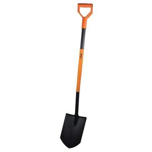 Rýľ špicatý, oranžový vyobraziť