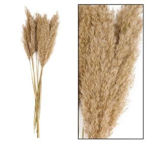 Umelá tráva Plume 80-90 cm vyobraziť