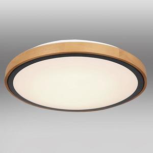 Stropnica 41764-24 LED 24W čierna PL vyobraziť