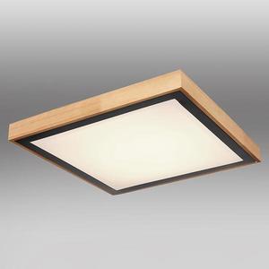 Stropnica 41764-24Q LED PL vyobraziť