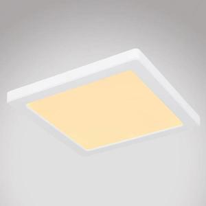 Stropnica 12380-18W LED 18W biely PL vyobraziť
