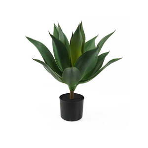Umelý sukulent (výška 56 cm) – PT LIVING vyobraziť