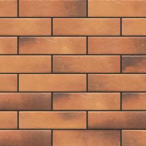 Obklad Retro Brick Curry 245/65/8 vyobraziť