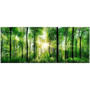 Obraz Glas Nature 50x125 EX121 Sunlight vyobraziť