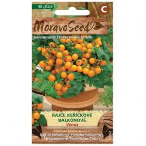Rajčiak kríčkový balkónový Venus, oranžový vyobraziť