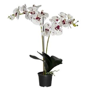 Umelá prémiová orchidea 18 kvetov 80 cm vyobraziť