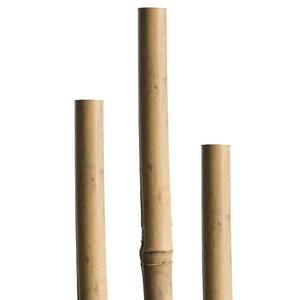 Tyč Tonkin 60 cm 5/7mm vyobraziť