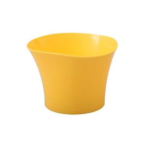 Obal Primule 12 cm/žltý vyobraziť