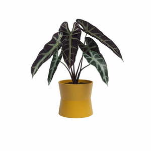 Keramický kvetináč ø 14 cm Diana – Artevasi vyobraziť