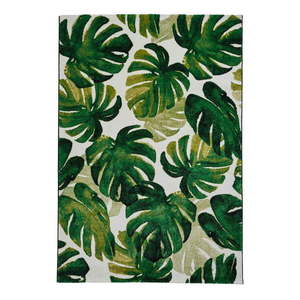 Tmavozelený koberec 120x170 cm Havana – Think Rugs vyobraziť