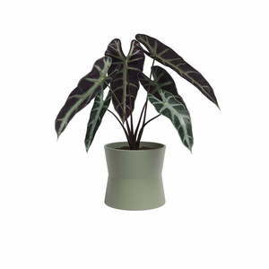 Keramický kvetináč ø 14 cm Diana – Artevasi vyobraziť