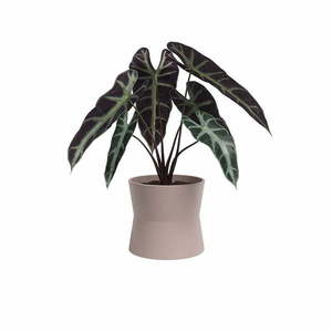 Keramický kvetináč ø 14 cm Diana – Artevasi vyobraziť
