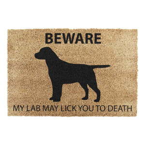 Rohožka z kokosového vlákna 40x60 cm Labrador – Artsy Doormats vyobraziť