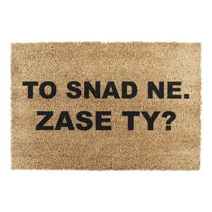 Rohožka z kokosového vlákna 40x60 cm Zase Ty? – Artsy Doormats vyobraziť